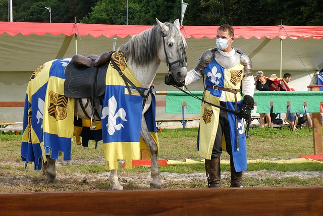 得我们研究 得我们研究