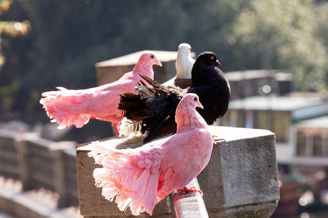 他在场边的 他在场边的