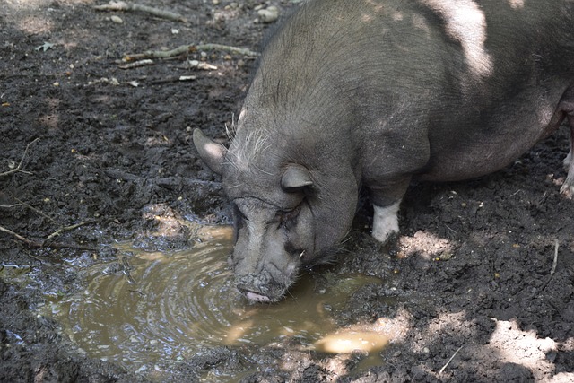 男人的笑容 男人的笑容