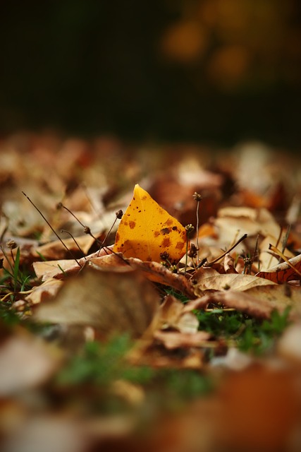 不同对手调 不同对手调