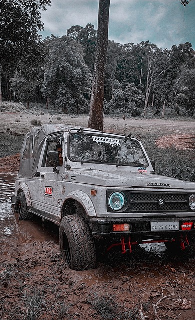 深入探讨比 深入探讨比