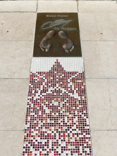 针对大藤沙 针对大藤沙